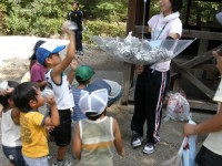 dscn3430 dscn3430